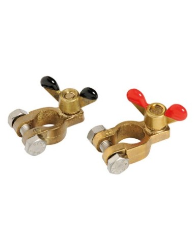 Coppia morsetti batteria