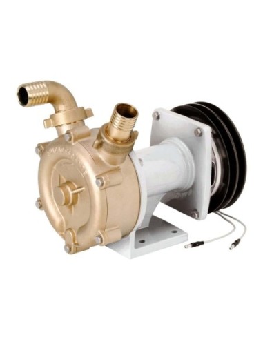 Pompa autoaspirante in bronzo con girante stellare a frizione elettromagnetica