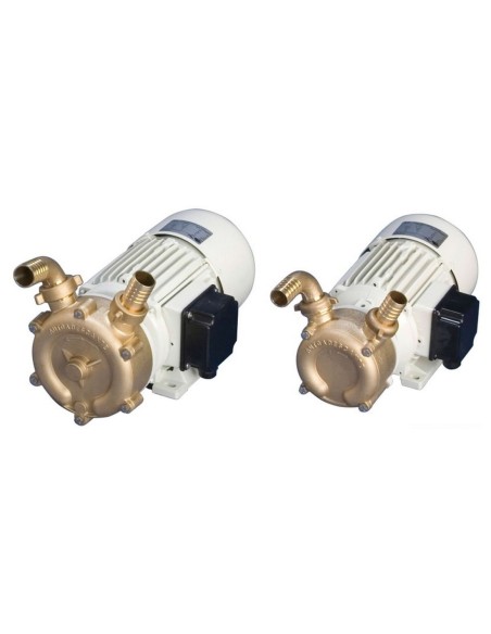 Pompa sentina bronzo