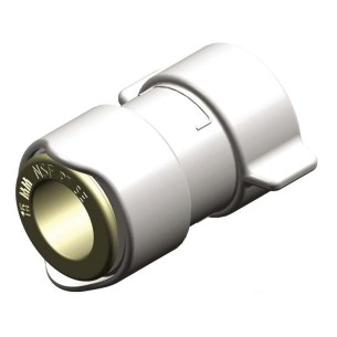Whale Adapter BSP Innengewinde