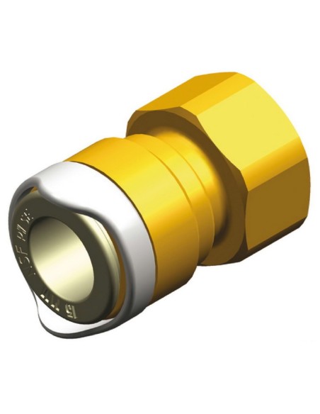 Adattatore BSP ottone Whale