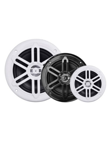 Coppia di casse stereo doppio cono