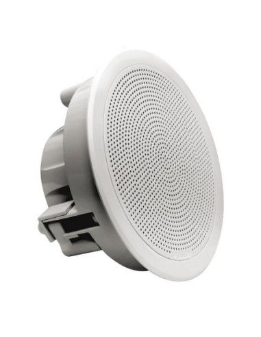 Flush Mount Speaker coppia