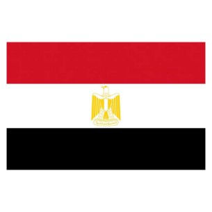 Flag Egypt 20