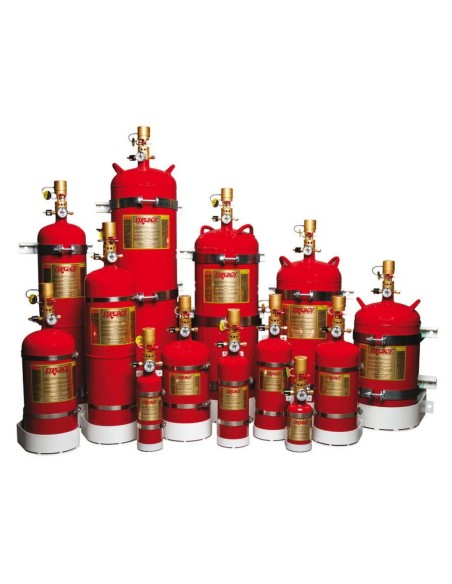 Estintore automaticomanuale gas