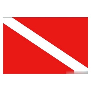 Bandiera sub