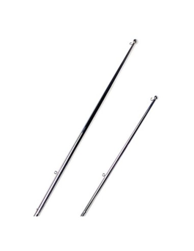 Asta bandiera inox con pallina