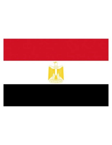Bandiera Egitto 20 x 30 cm