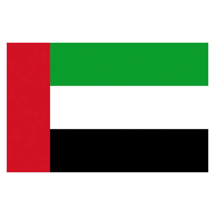 Bandiera Emirati Arabi Uniti