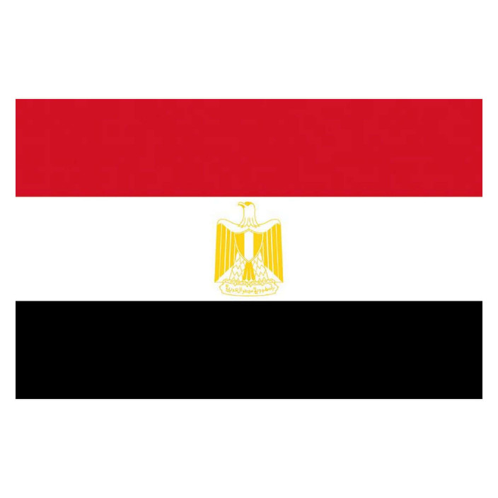 Flag Egypt 20