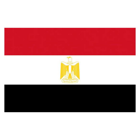 Flag Egypt 20