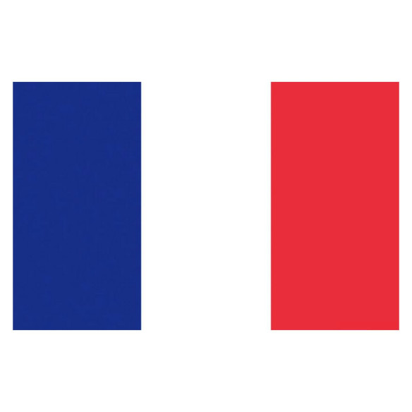 Bandiera Francia