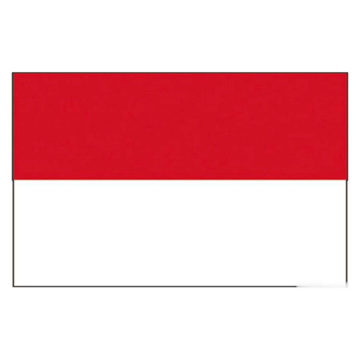 Flag Principality of Monaco