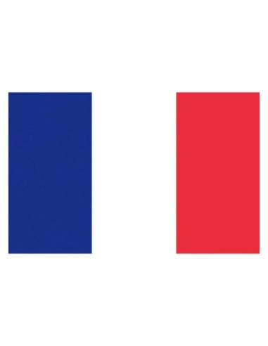 Bandiera Francia