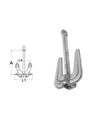 Ancora Hall classica