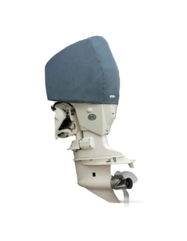 Coprimotore Evinrude