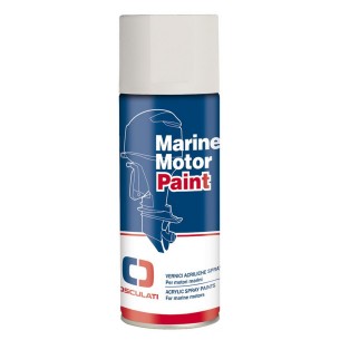 Vernice spray motori IVECO entrobordo