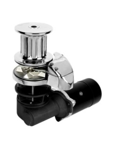 Verricello ITALWINCH Orchid