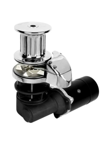 Verricello ITALWINCH Orchid