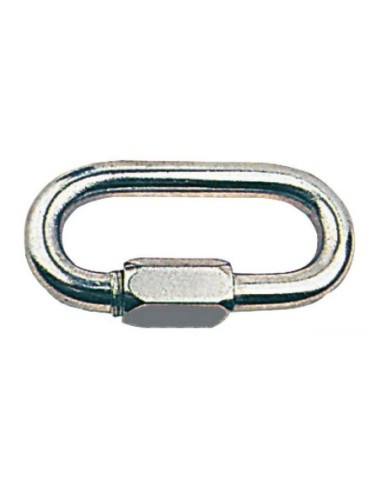 Moschettone inox vite